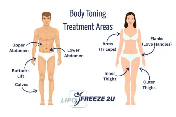 Graphic showing where you can have Body toning Treatment Rochester on your body